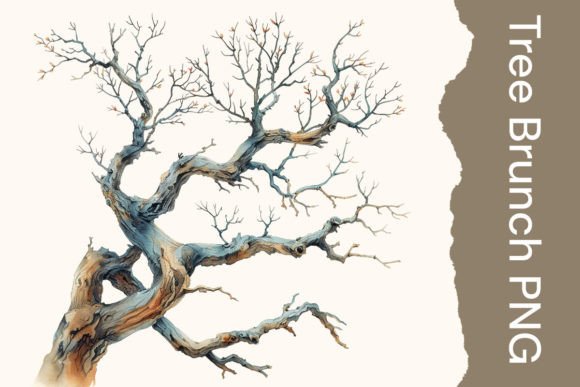 High-Res Tree Branch on White: A Versatile Asset