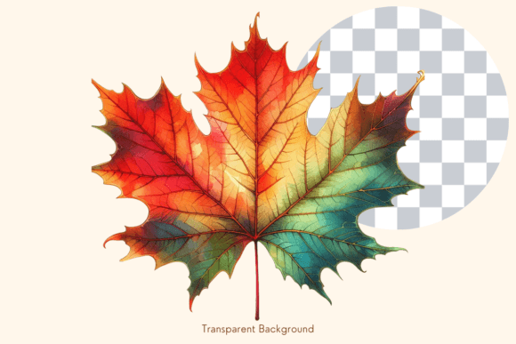 Unlocking the Artistic Potential of Autumn Maple Leaf Watercolor Cliparts for Modern Design