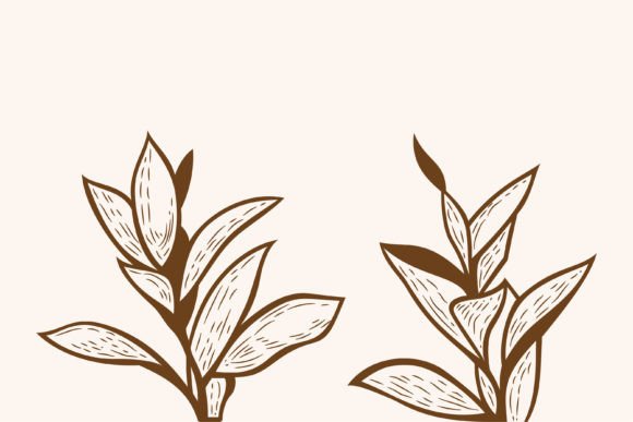Unlocking the Charm of Leaf Plant Vintage Elements in Modern Design
